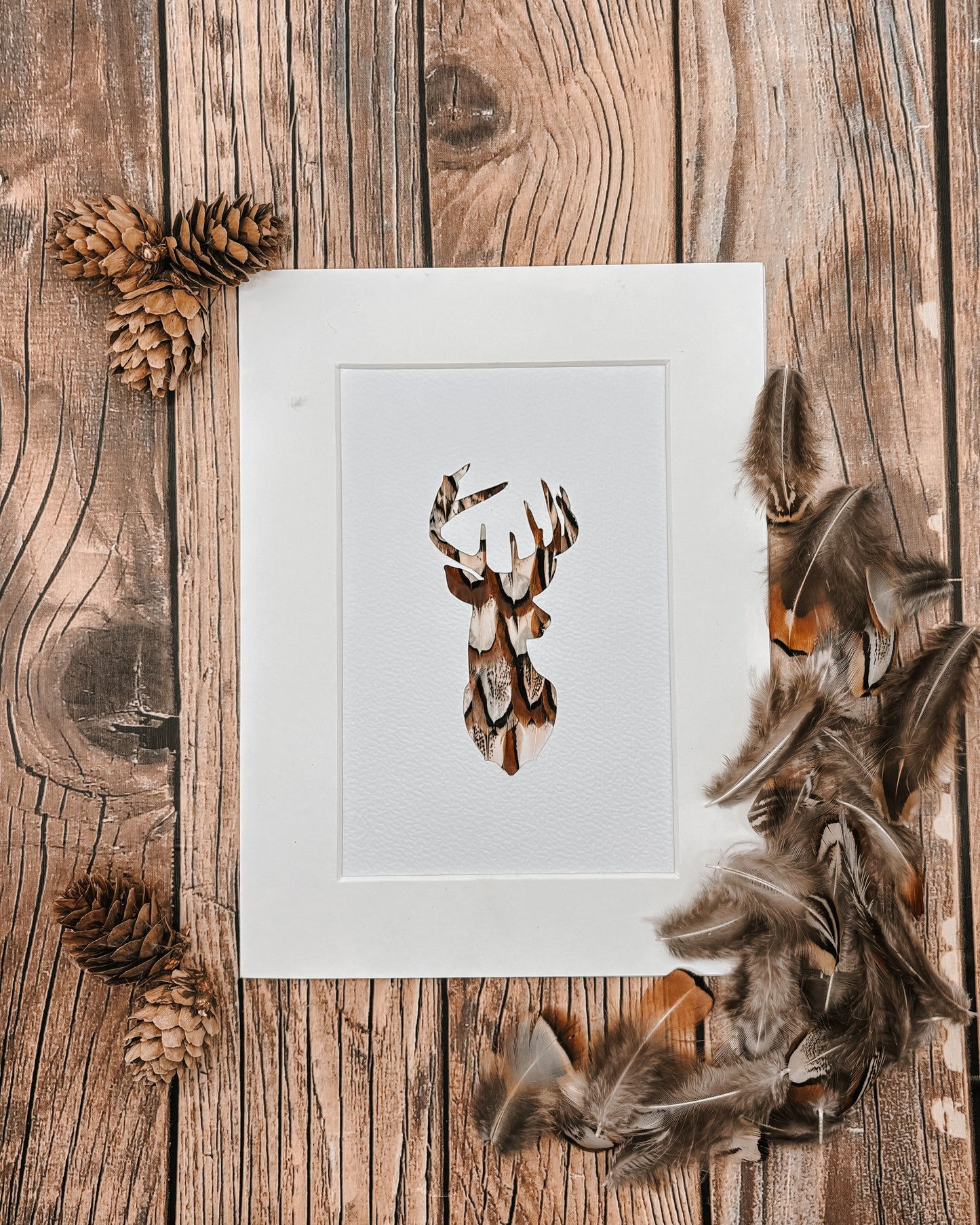 “The Stag" Backed With Pheasant Feathers