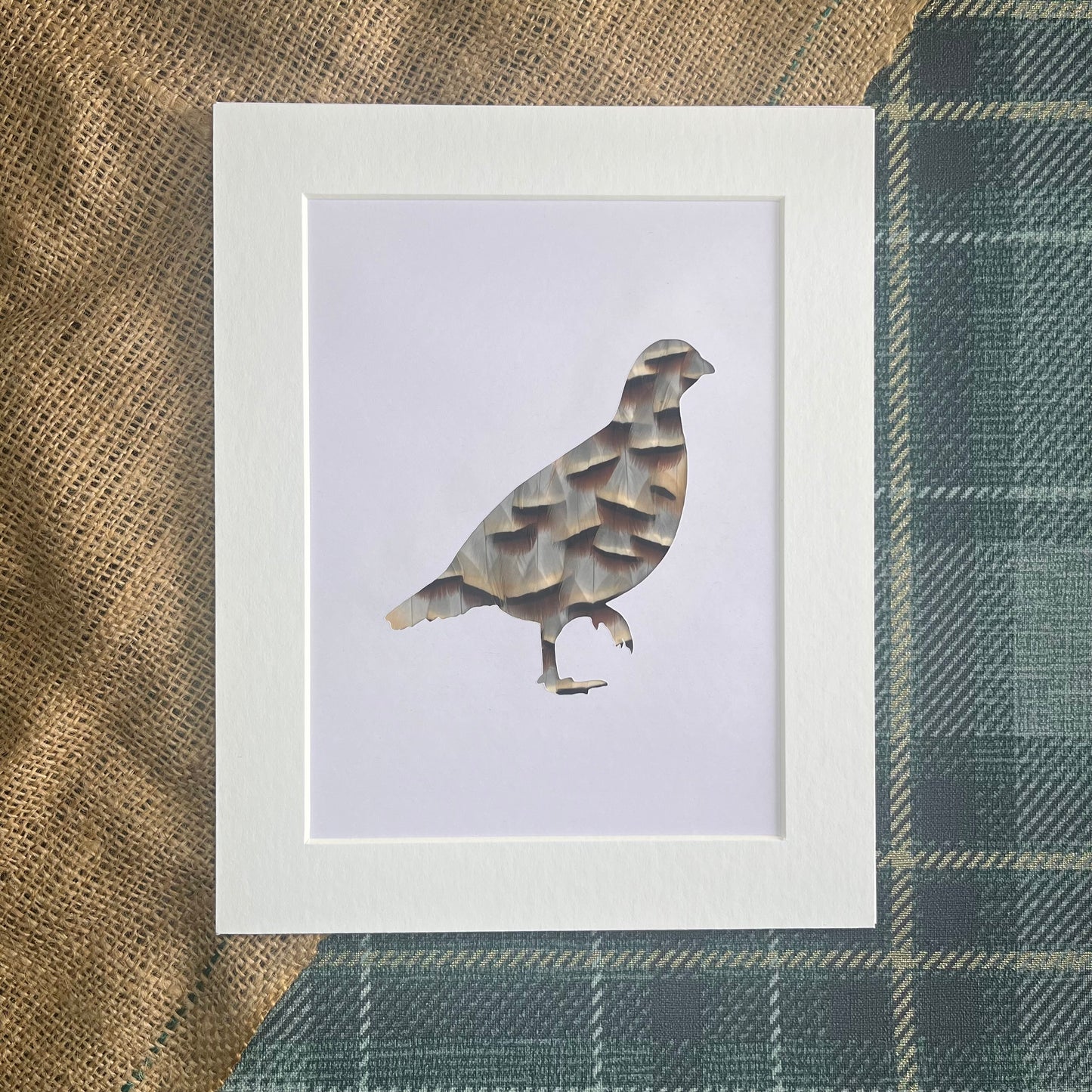 "The Single Partridge" Backed With Partridge Feathers