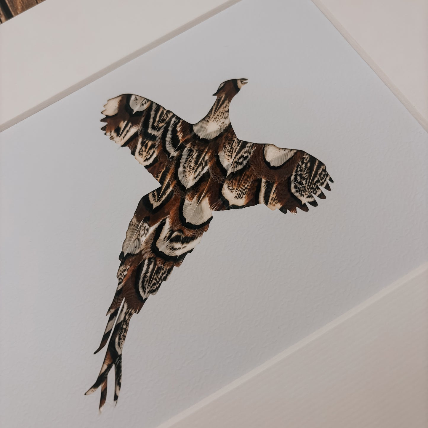 "Flying Pheasant" Backed With Cock Pheasant Feathers