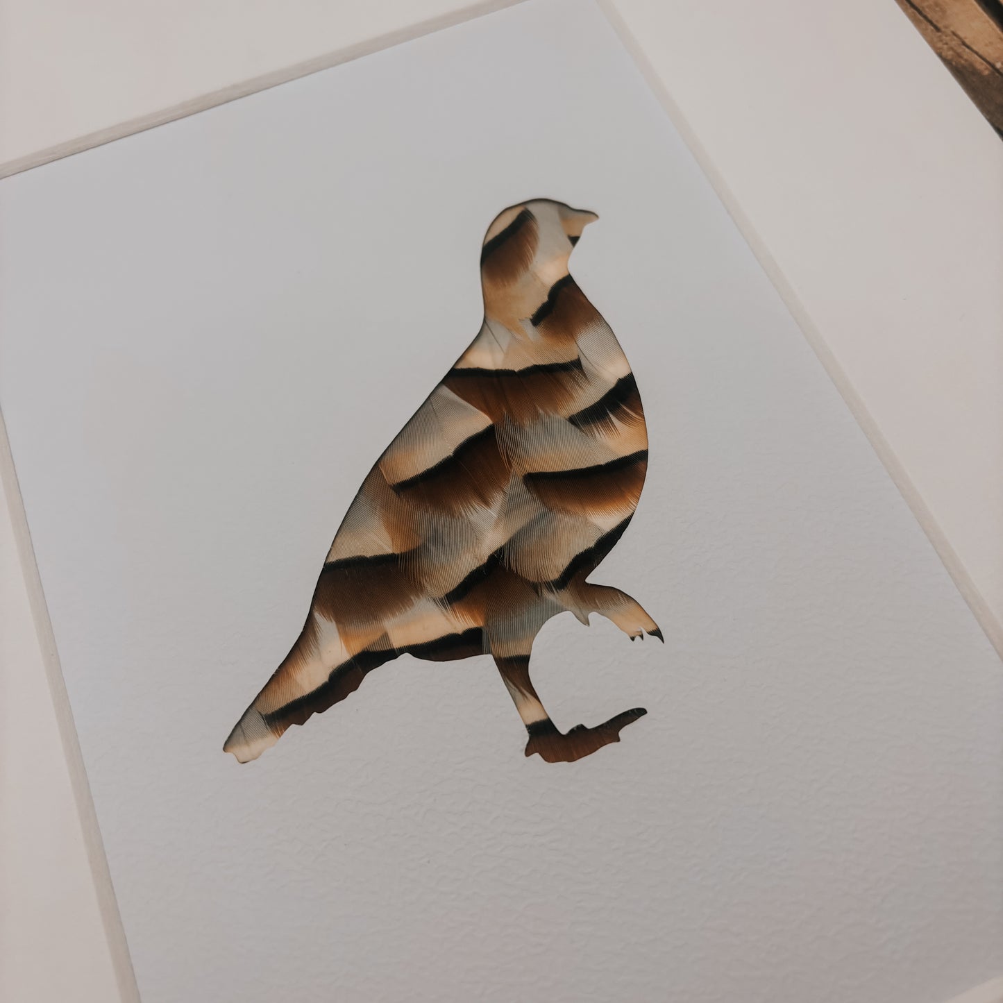 A Single Partridge