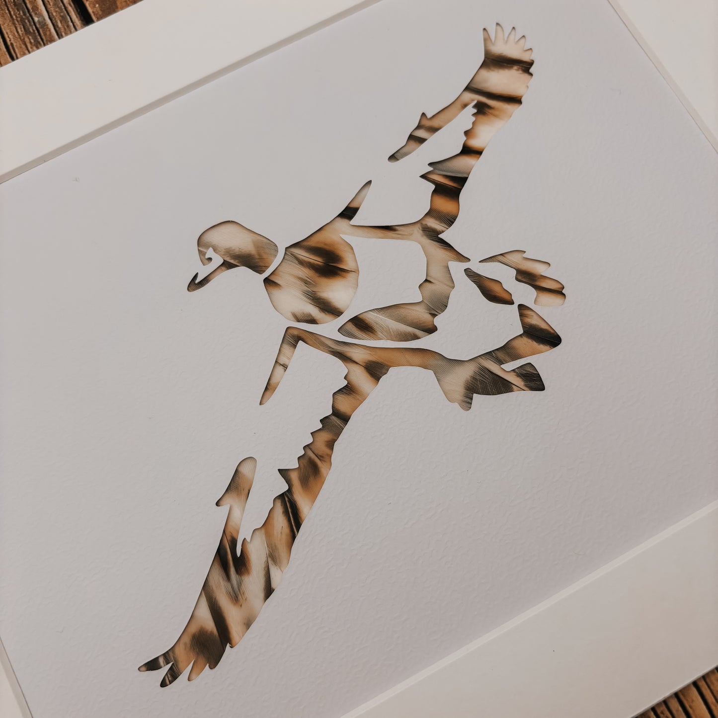 "Duck in Flight" Backed With Duck Feathers