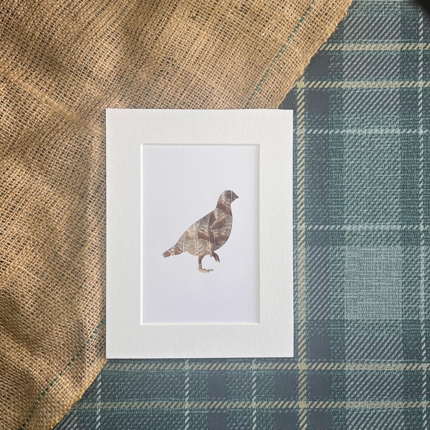 "The Single Partridge" Backed With Partridge Feathers