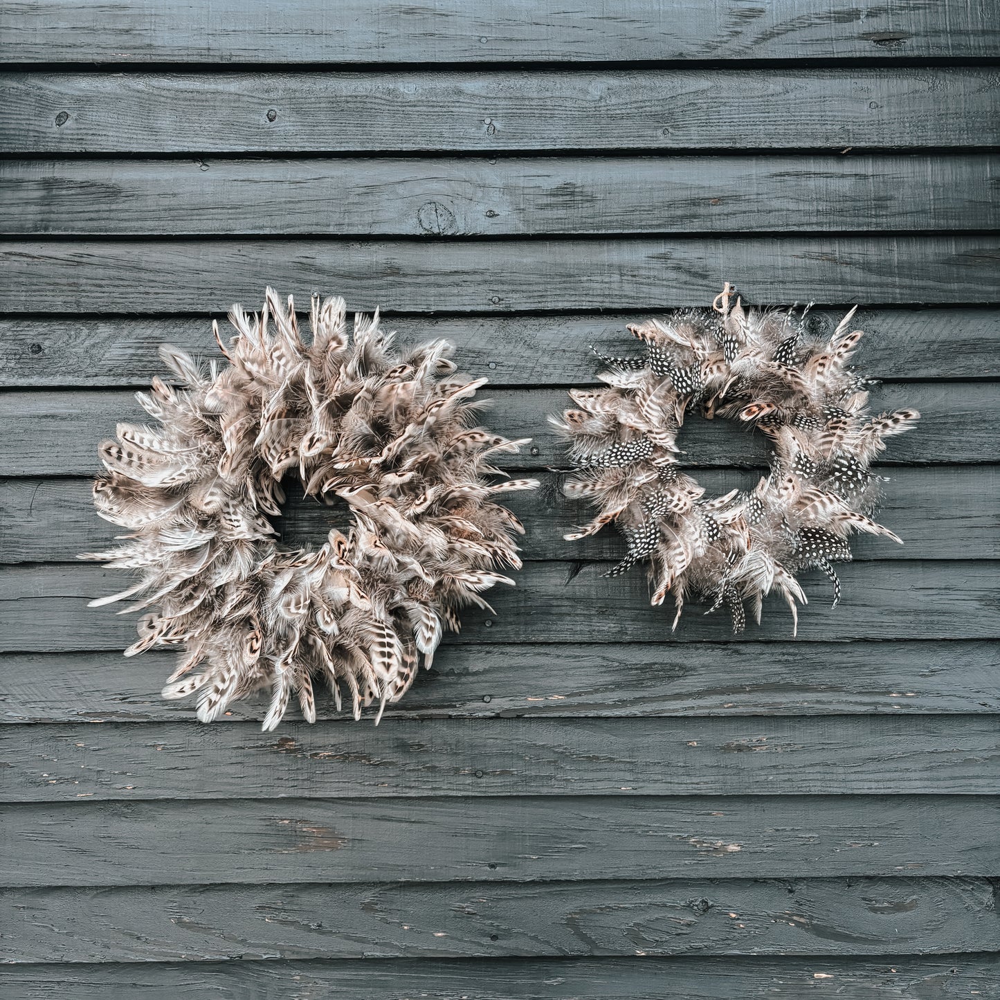 Hen Pheasant Feather Wreath
