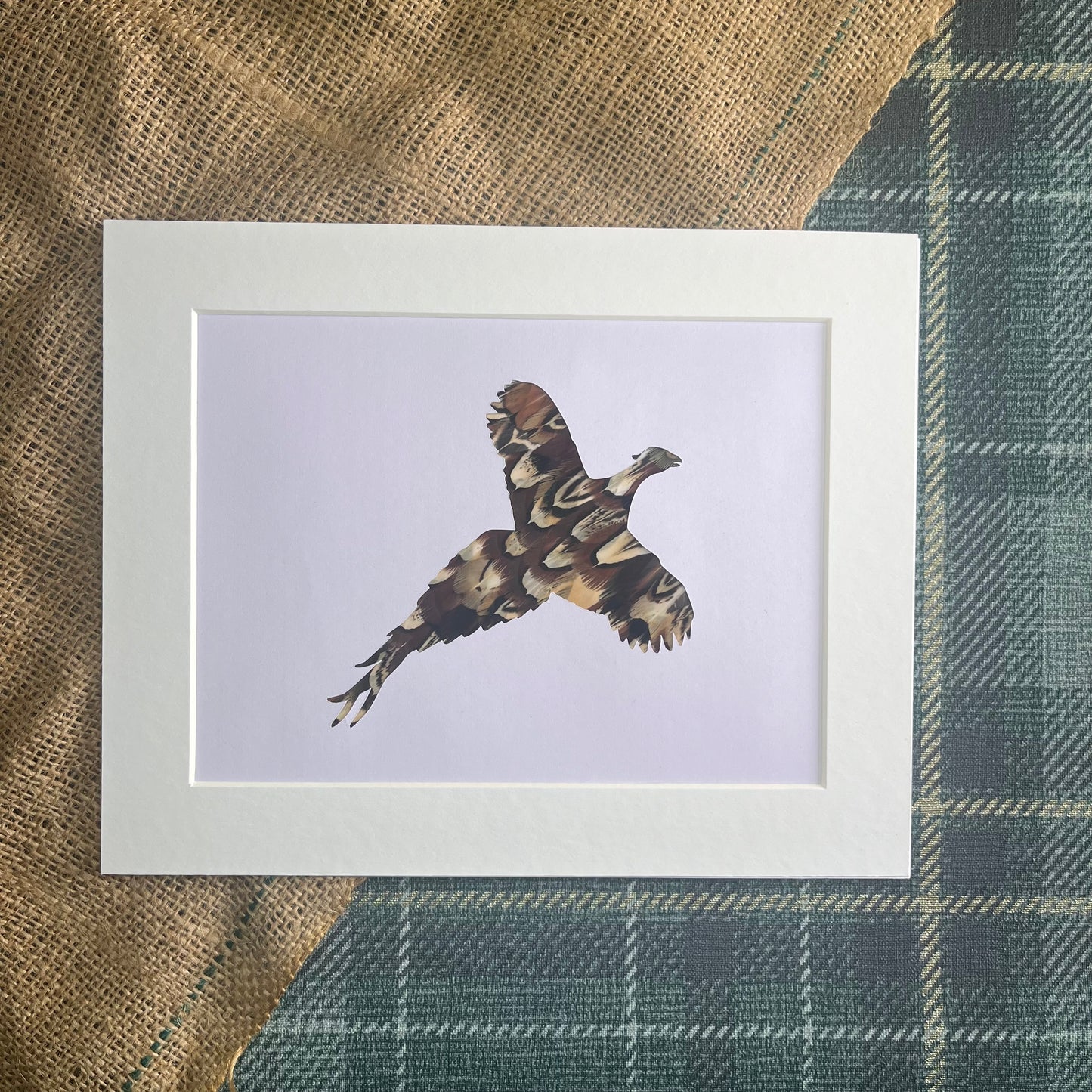 "Flying Pheasant" Backed With Cock Pheasant Feathers