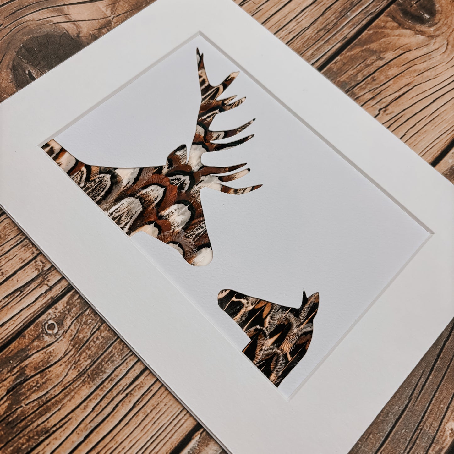 Antlers & Ears
