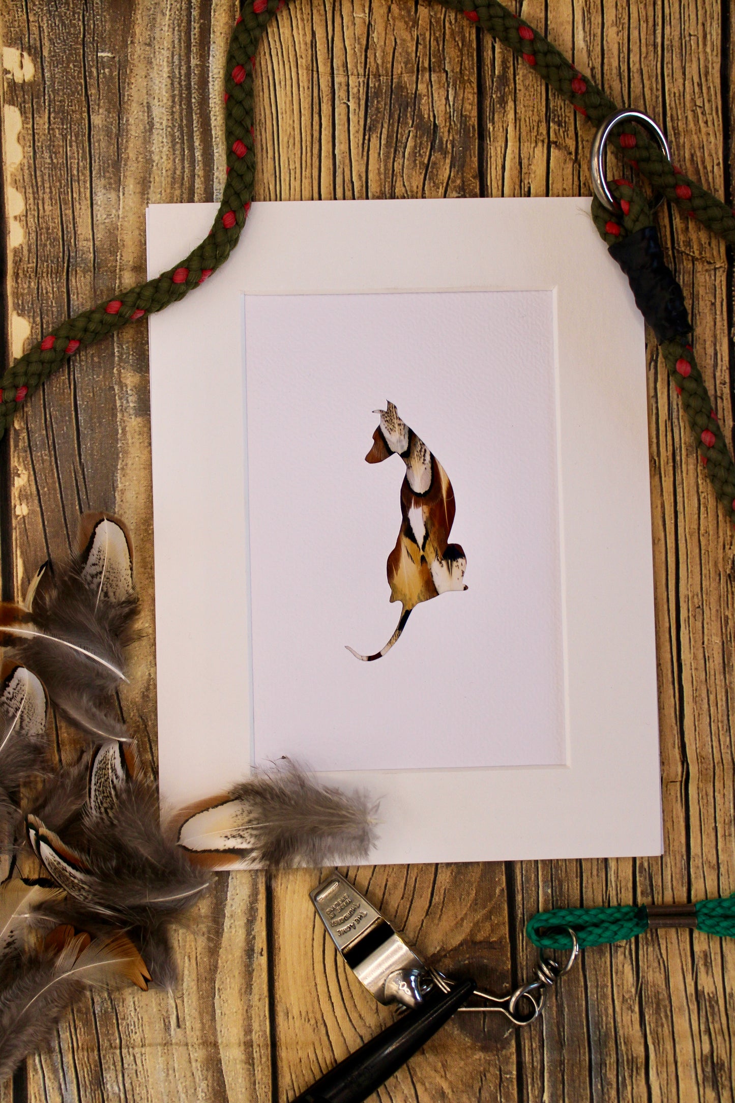"The Sitting Whippet" Backed With Pheasant Feather