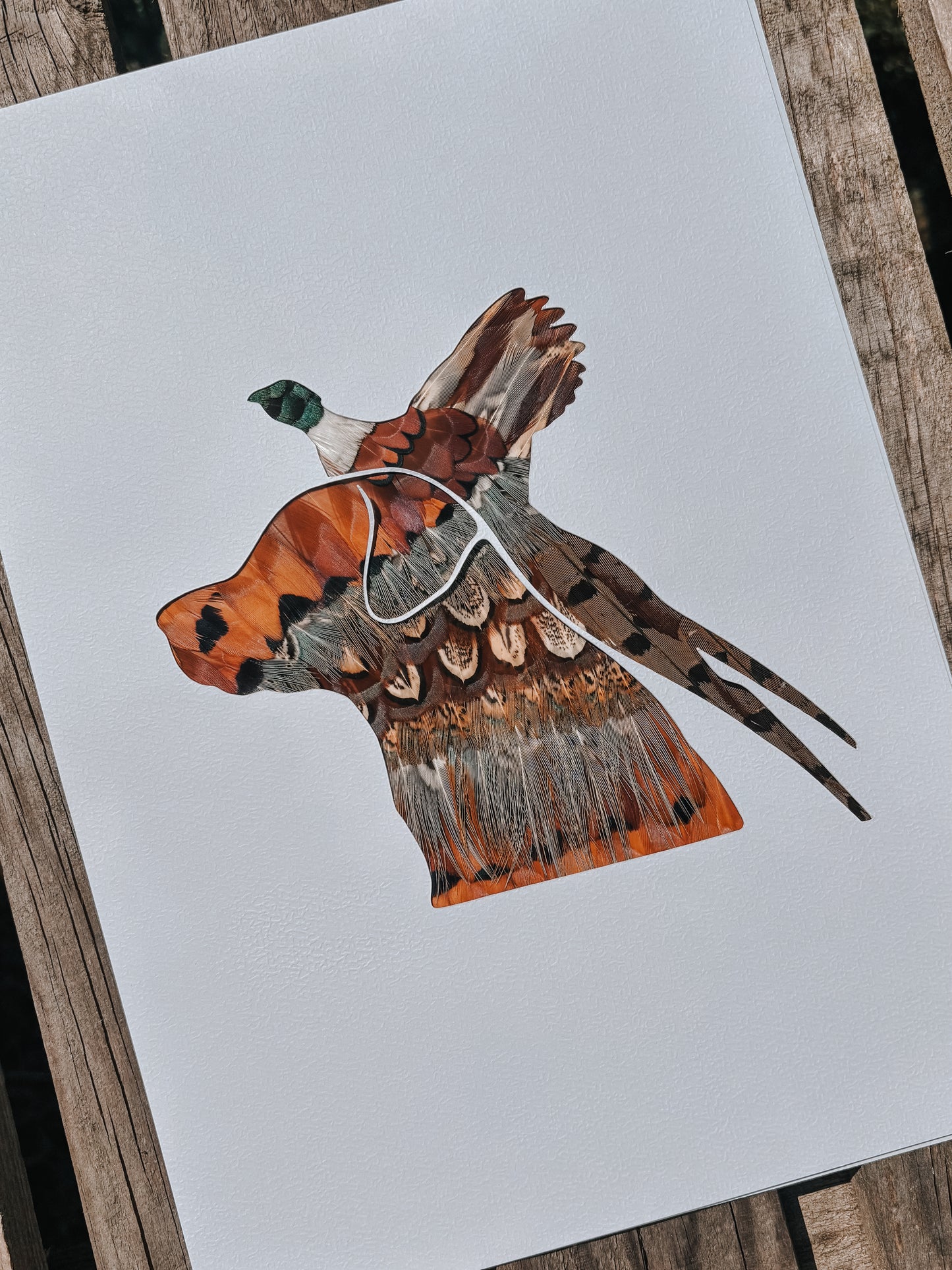 Flying Pheasant & Labrador
