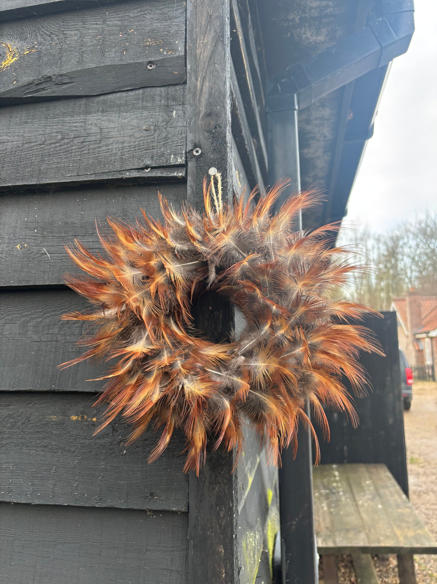 Fireworks Cock Pheasant Feather Wreath