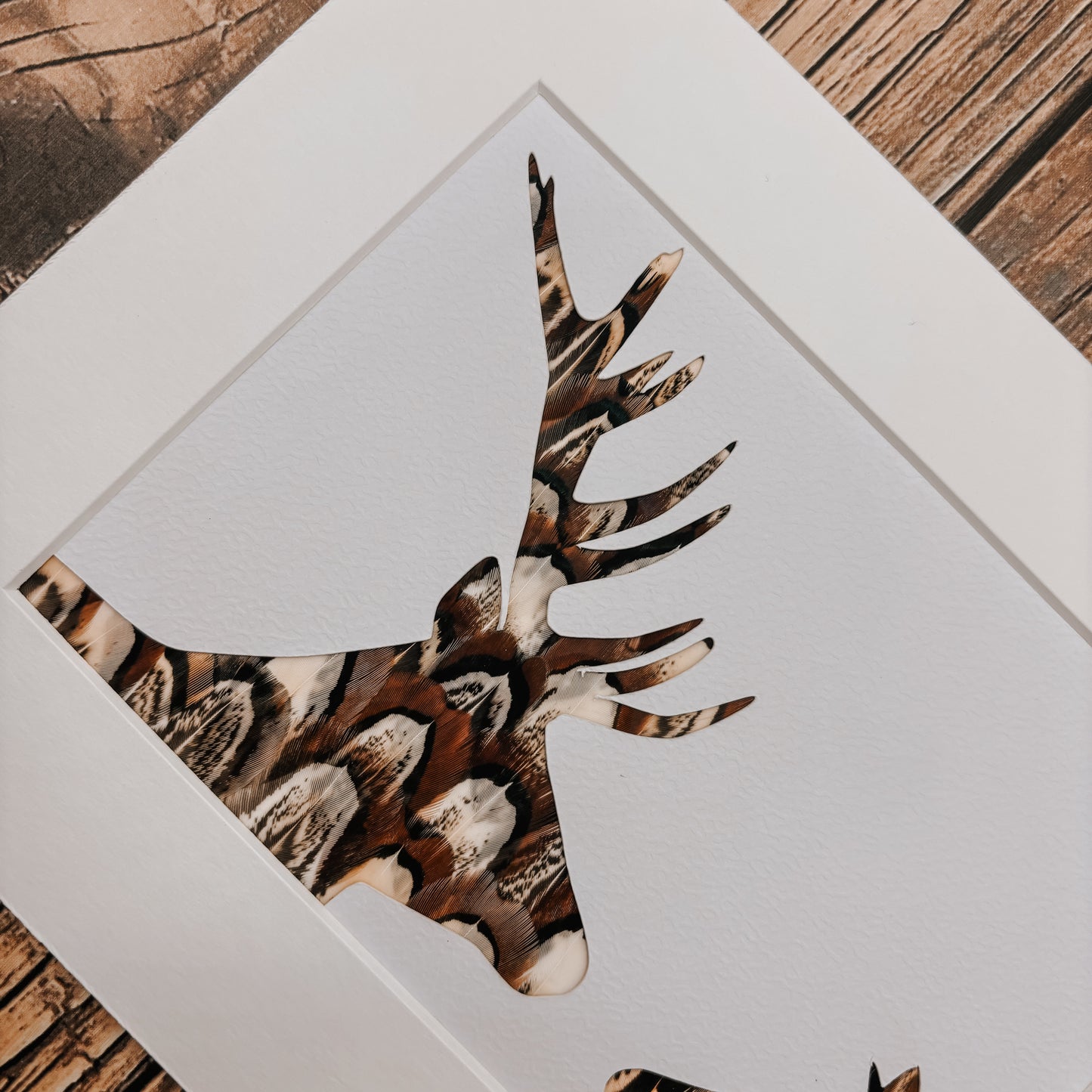 Antlers & Ears