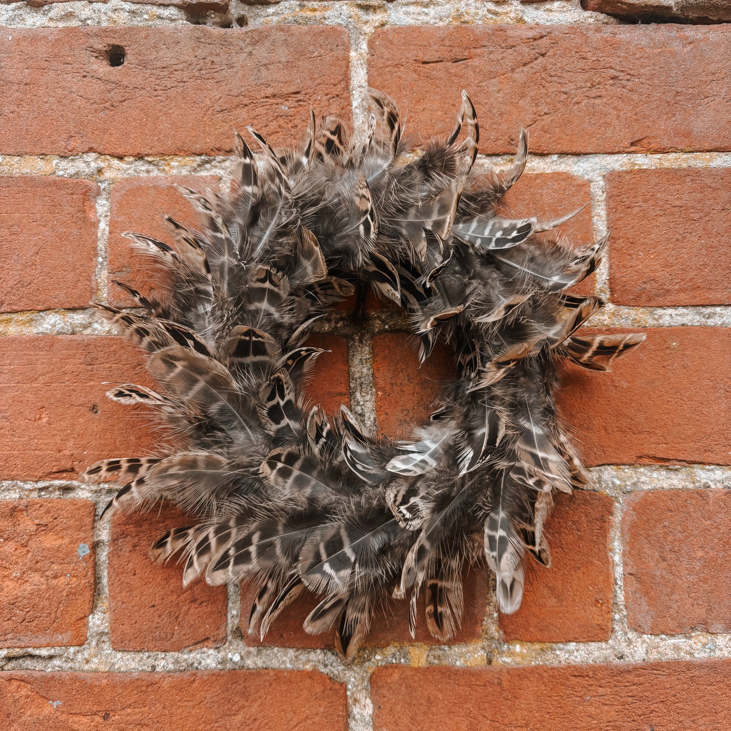 Mixed Pheasant Feather Wreath