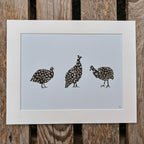 Guinea Fowl