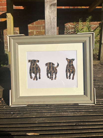 Labrador’s