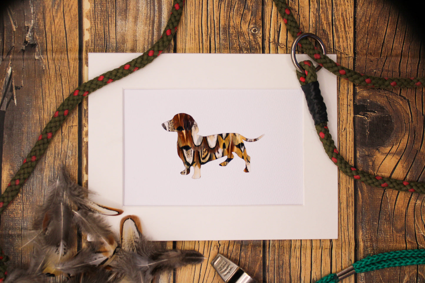 "The Dachshund" Backed With Pheasant Feather