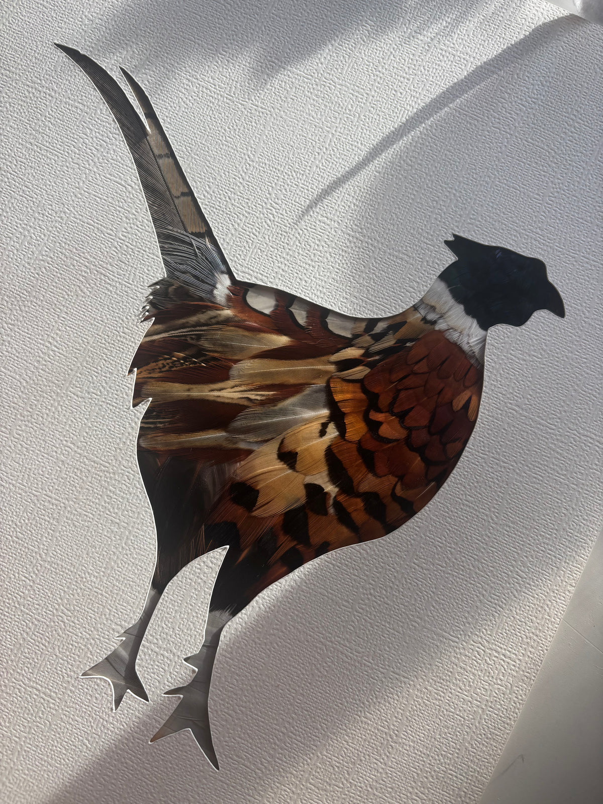 Majestic Pheasant