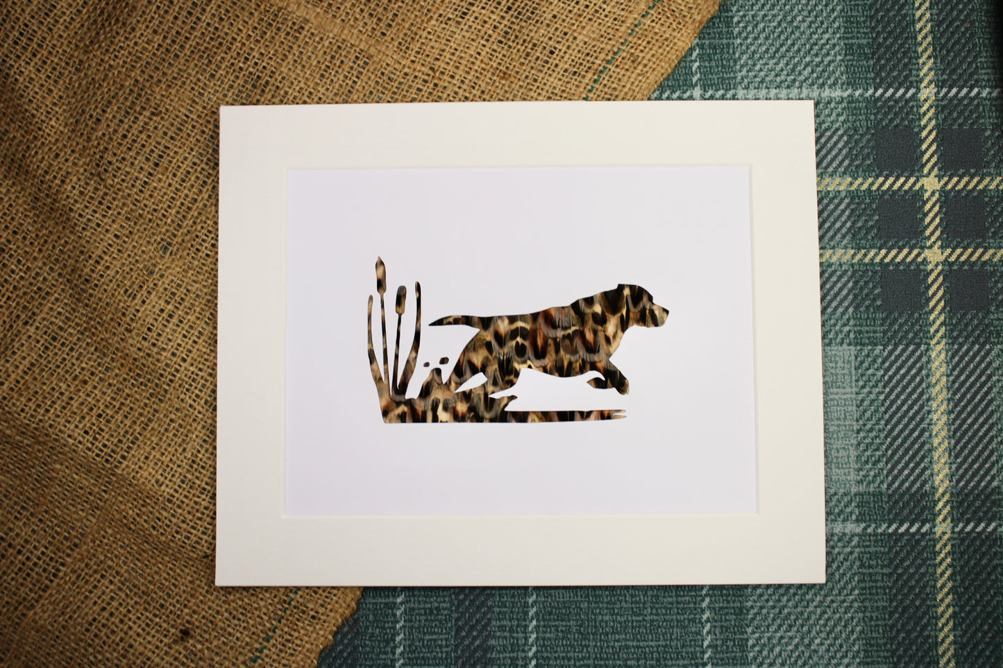 "Henry" Backed With Pheasant Feather