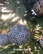 Pheasant & Game Feather Baubles