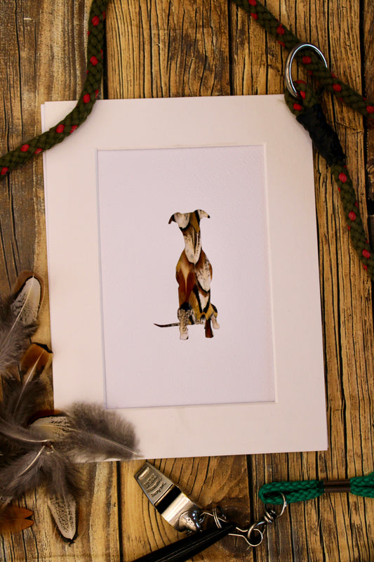 "The Sitting Greyhound" Backed With Pheasant Feather