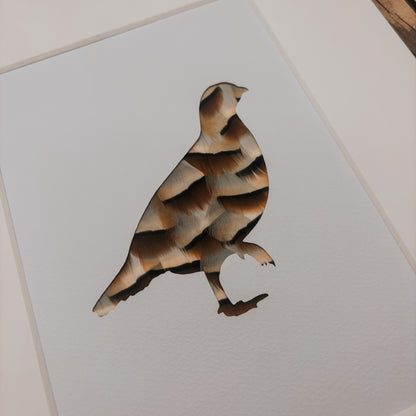 A Single Partridge