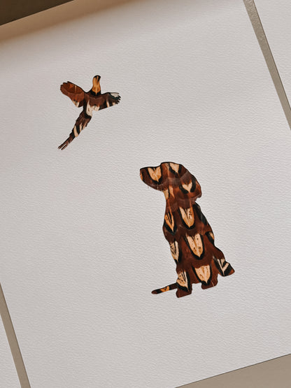 Gazing Spaniel