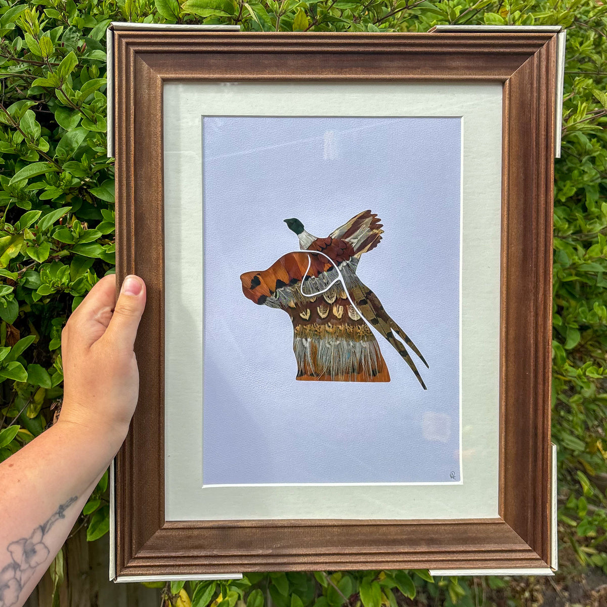Flying Pheasant & Labrador