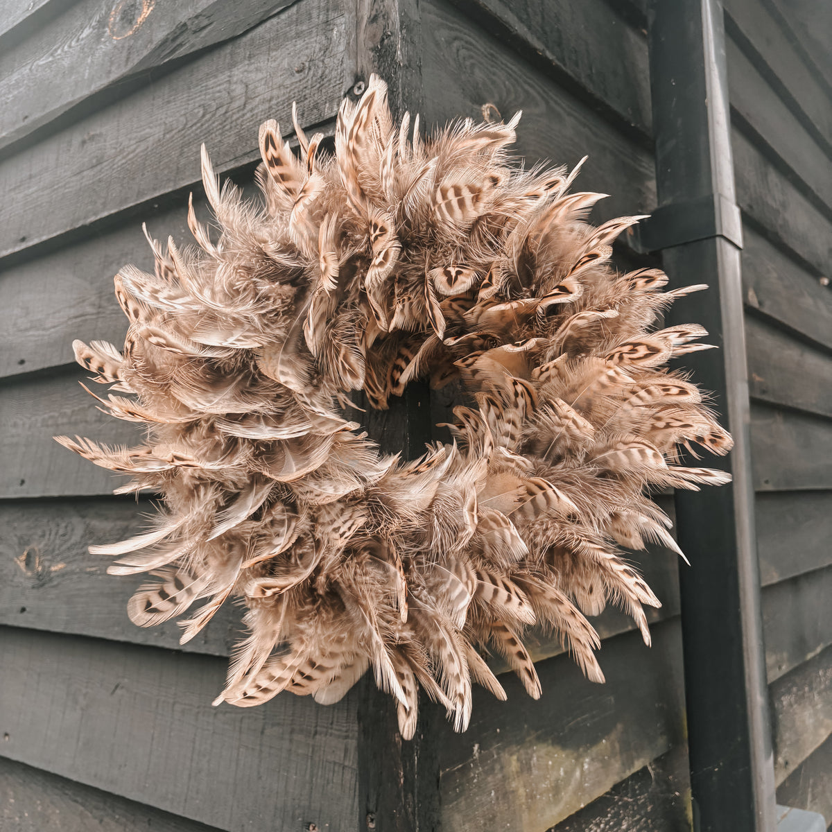 Hen Pheasant Feather Wreath