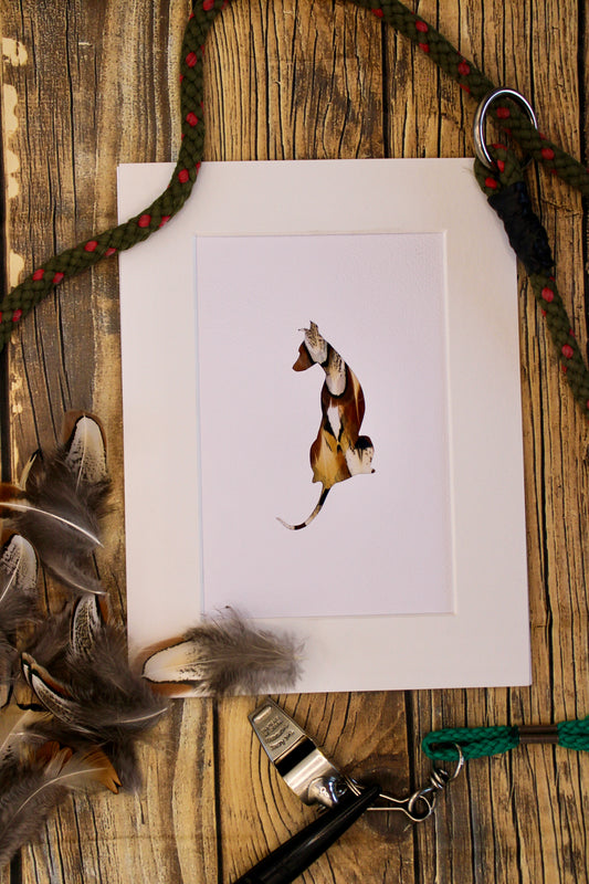 "The Sitting Whippet" Backed With Pheasant Feather