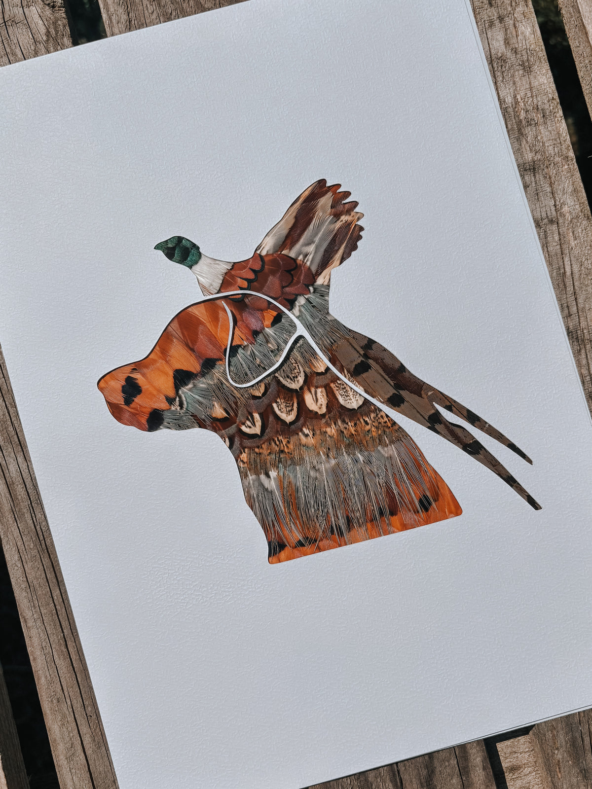 Flying Pheasant & Labrador