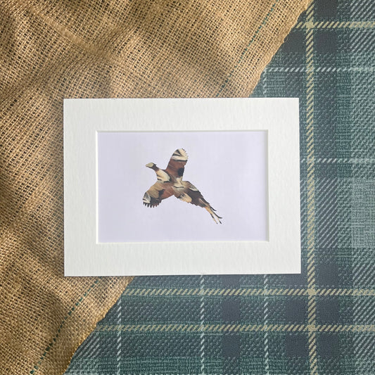 "Flying Pheasant" Backed With Cock Pheasant Feathers