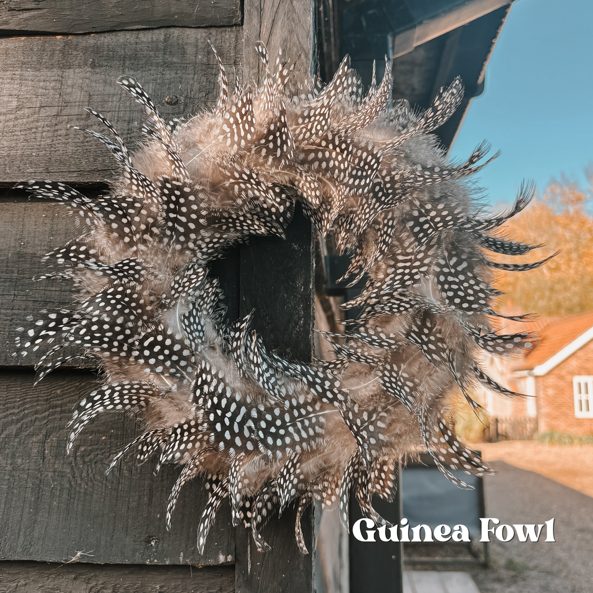 Pheasant & Game Feather Mini Wreaths