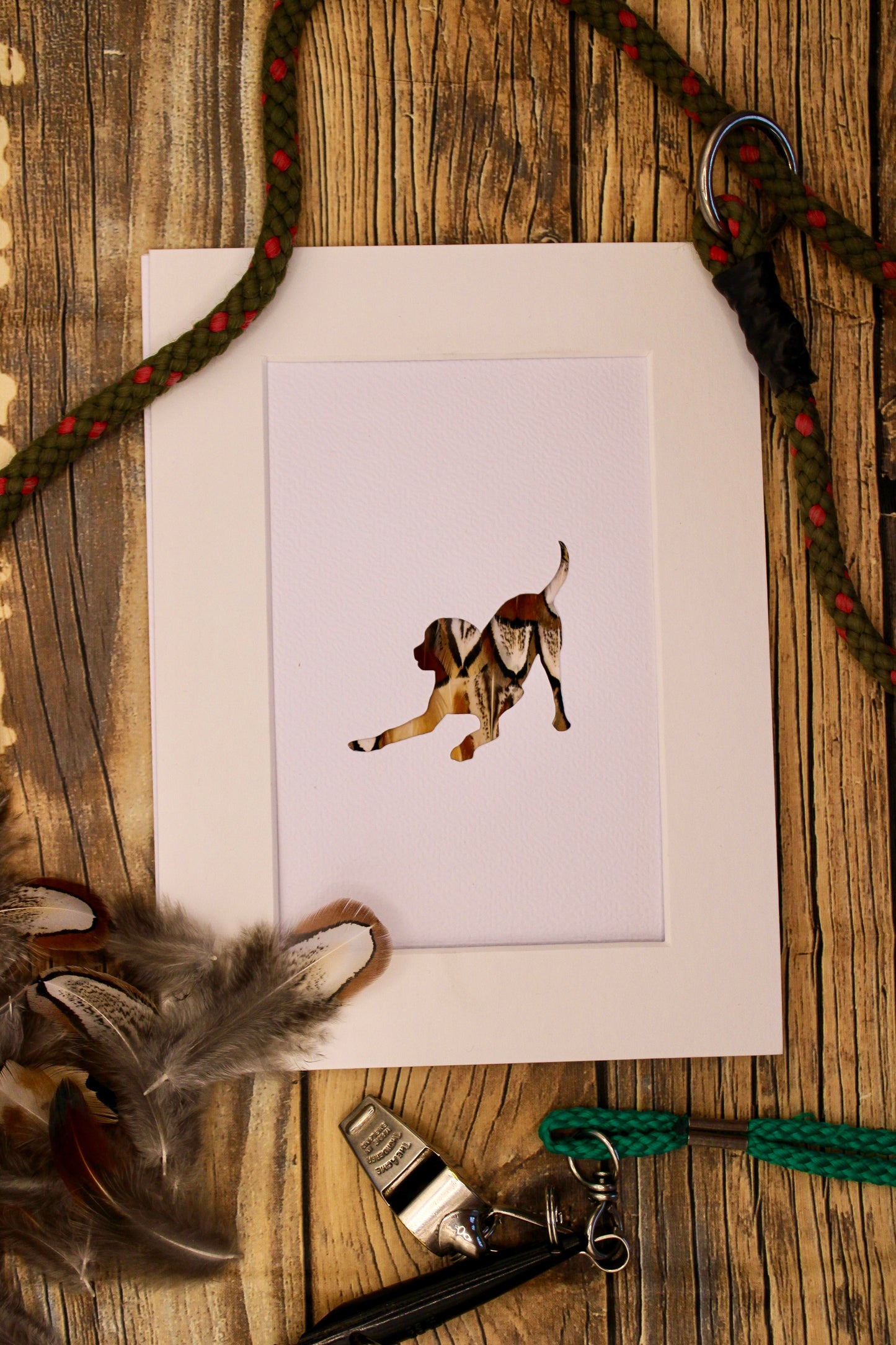 "The Playful Labrador" Backed With Pheasant Feather