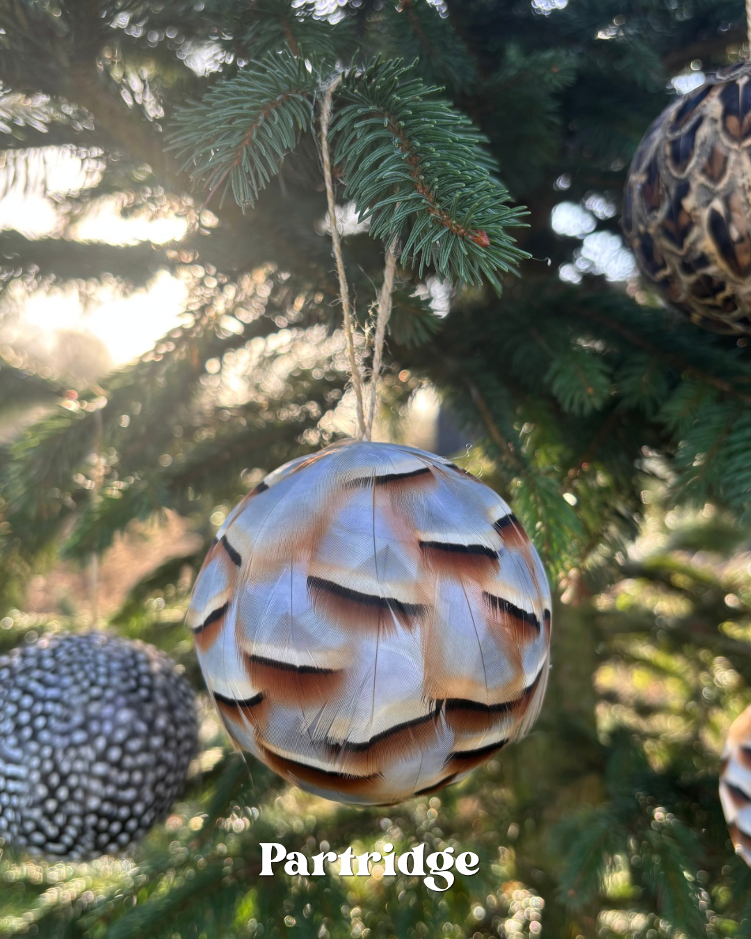 Pheasant & Game Feather Baubles