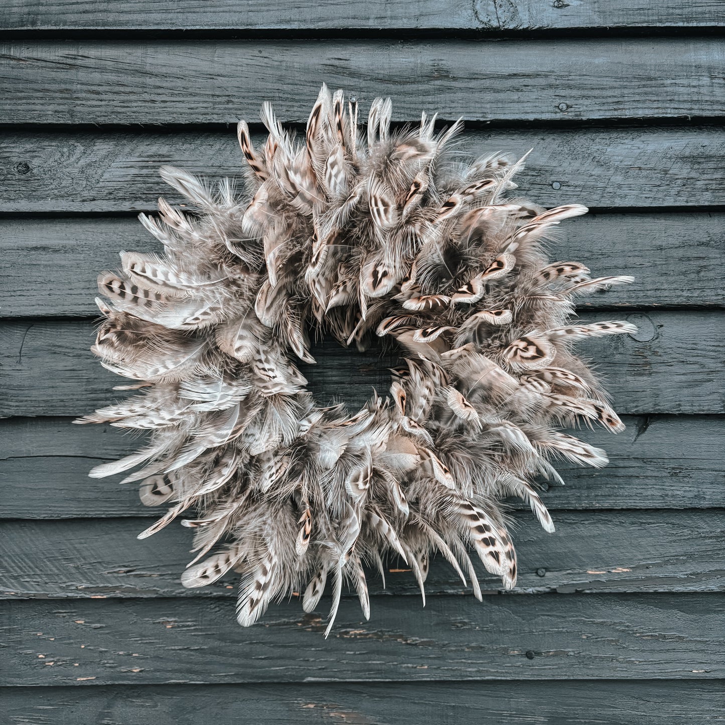 Hen Pheasant Feather Wreath
