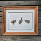 Guinea Fowl