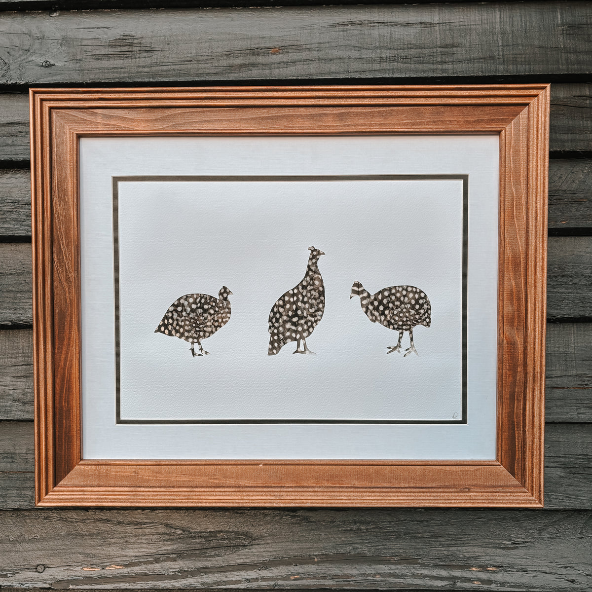 Guinea Fowl