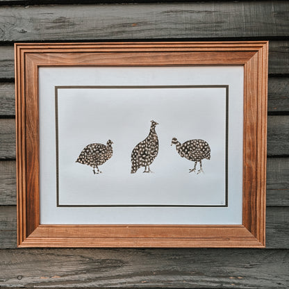 Guinea Fowl