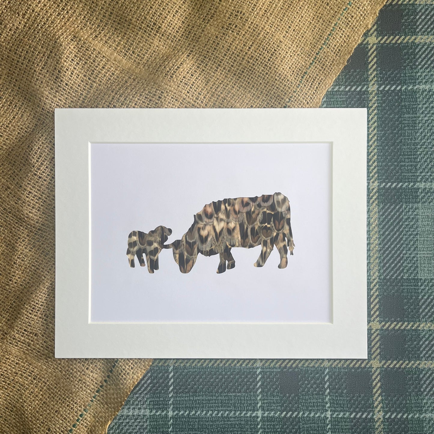 "Cow & Calf" Backed With Pheasant Feathers
