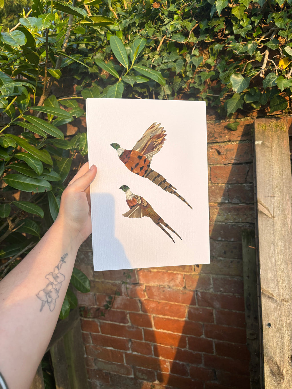 Flying Pair
