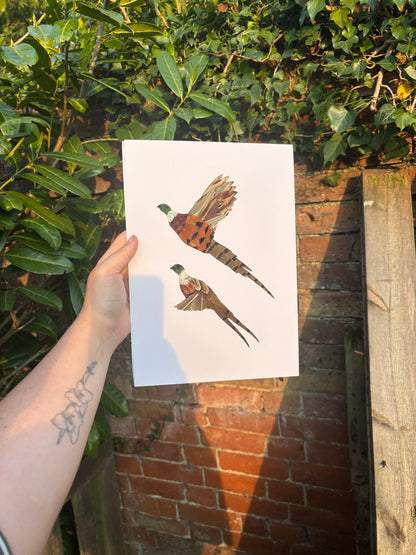 Flying Pair