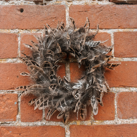 Mixed Pheasant Feather Wreath