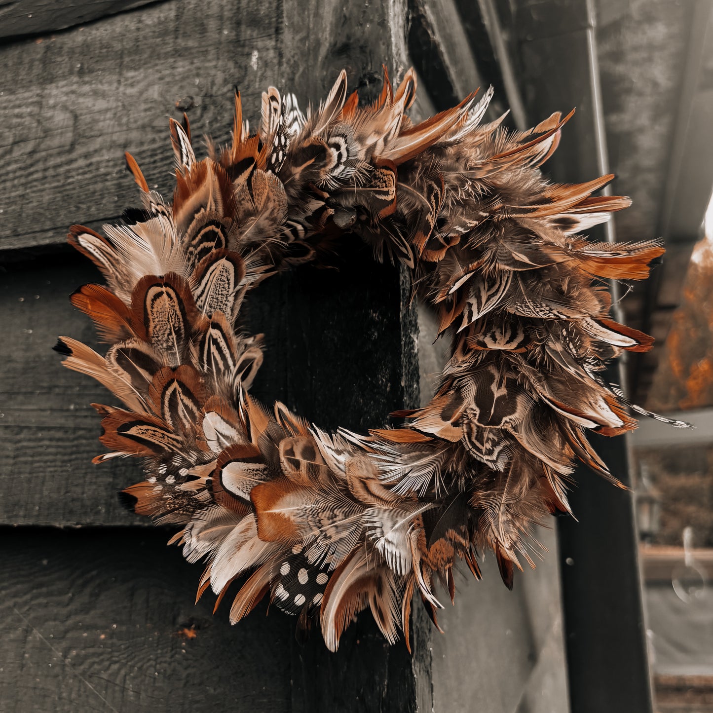 Mixed Pheasant Feather Wreath